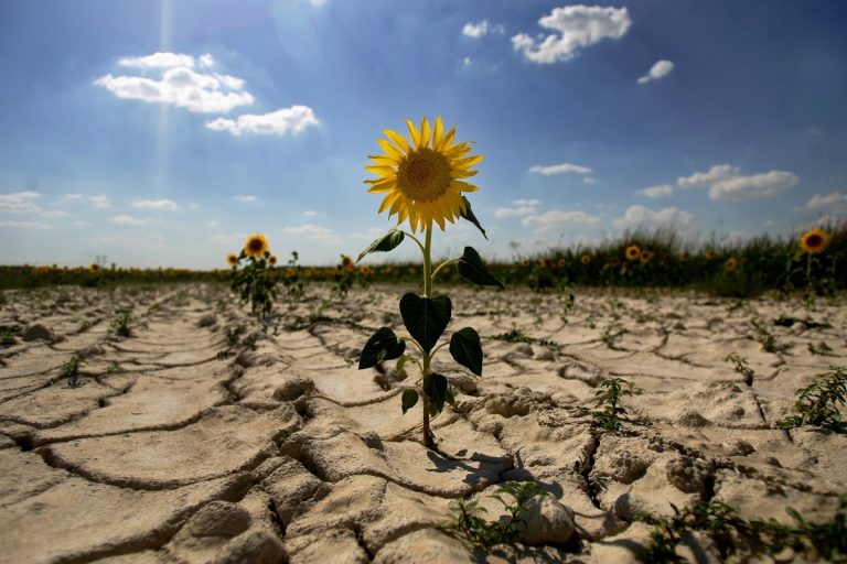 Cambio climático España