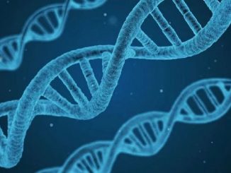 espana la primera edicion genetica de embriones humanos