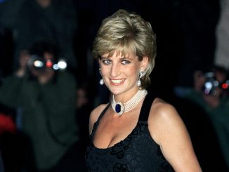 lady diana