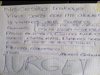 Niño de 13 años busca trabajo