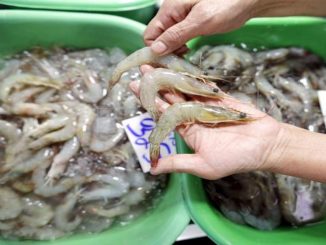 China detecta gambas con coronavirus