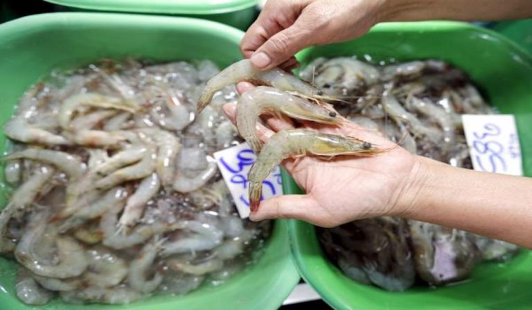 China coronavirus gambas