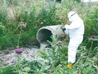 El Seprona halla restos de COVID-19 en los vertidos del río Manzanares