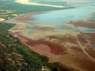 Foto aérea del Parque de Doñana