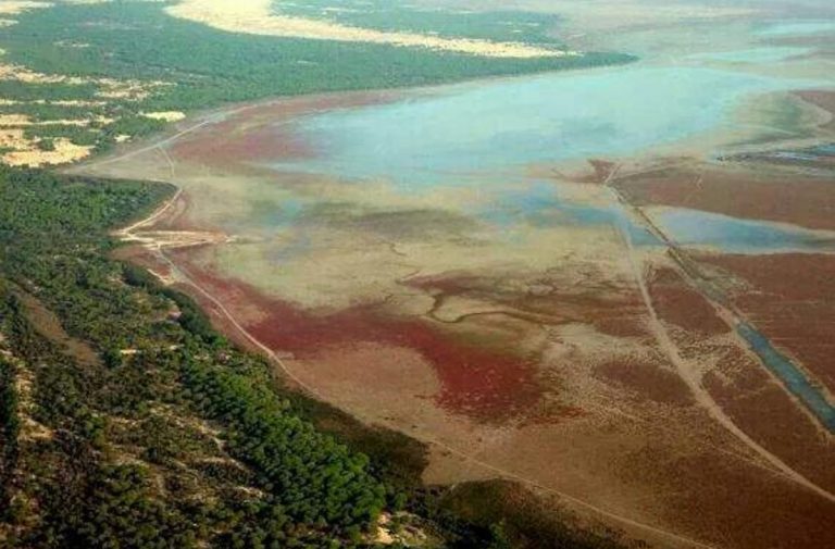 parque doñana actualidad.es