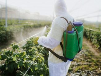 pesticidas