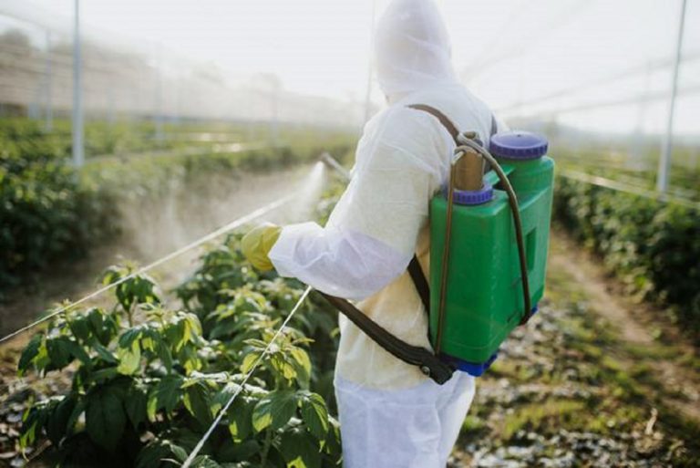 Pesticidas