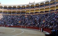 empresarios sacrifican toros