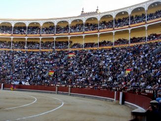 empresarios sacrifican toros