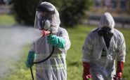 Fumigación en Andalucia para frenar el virus del Nilo