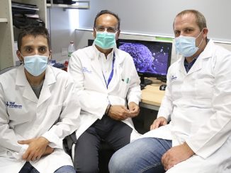 identifican una proteina cancer de mama metastasis