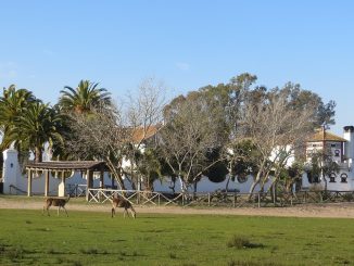 Palacio de las Marismillas