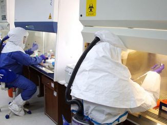 Los anticuerpos generados frente al covid desaparecen en tres meses: imagen de científicos trabajando