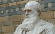 cambridge declara robado cuaderno de charles darwin con el arbol de la vida