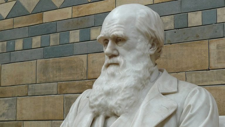 Cambridge declara robado cuaderno de Charles Darwin con el árbol de la vida