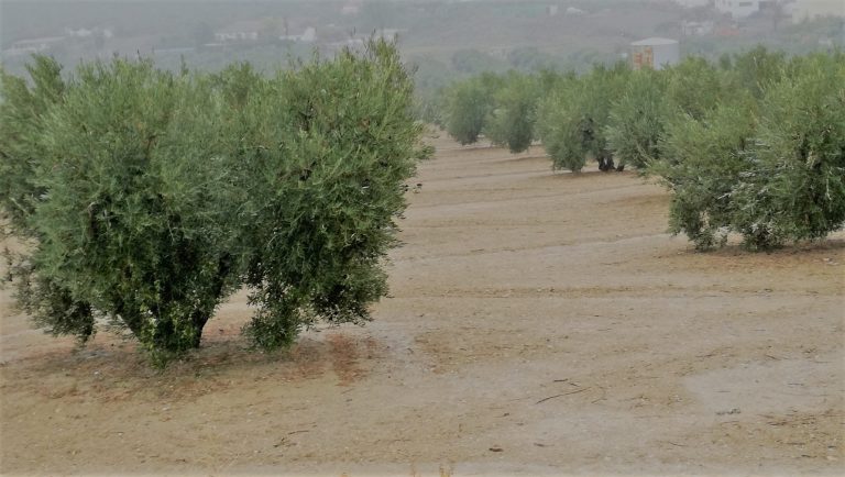 agricultores españoles biden