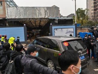 mercado wuhan