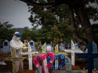 muertes brasil coronavirus