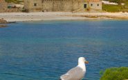 parque nacional maritimo terrestre de las islas atlantica 1