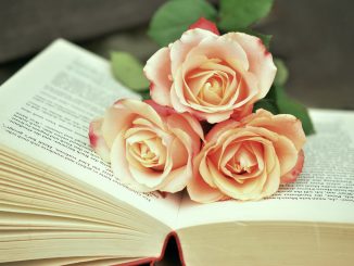 ¿Por qué se regala un libro y una rosa en la fiesta de Sant Jordi?