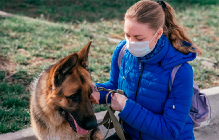 veterinario