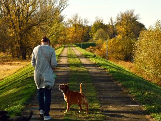 Mujer paseando perros