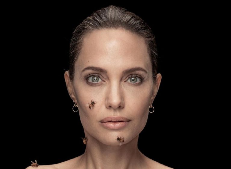 angelina jolie abejas natgeo