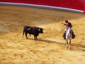 corrida de toros