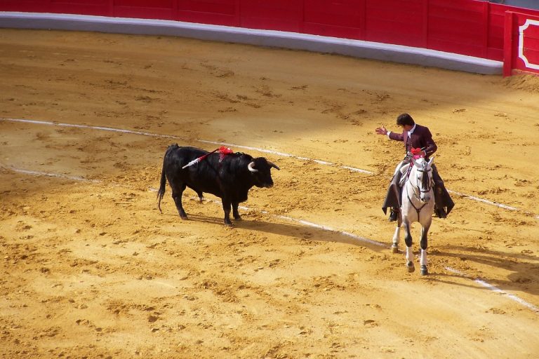 corrida de toros