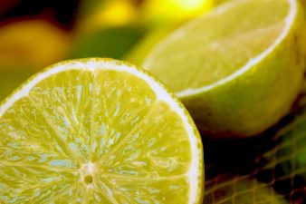 limon 338x225