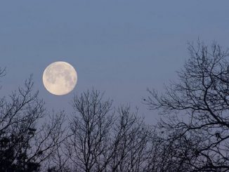 calendario lunar junio