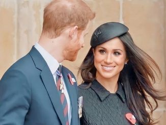 markle y harry