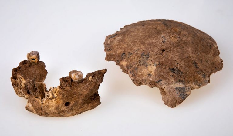 Nesher Ramla, descubren humano prehistórico