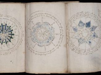 Manuscrito Voynich: el enigma del alfabeto desconocido