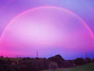 arcoiris rosado