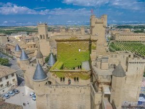 castillo olite 300x225