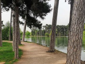 degollado en un parque de París