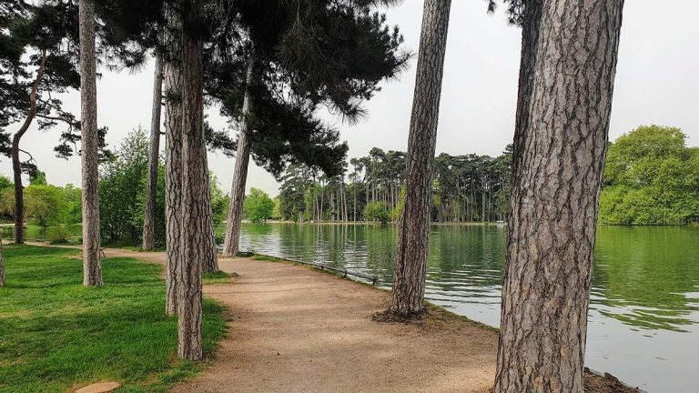 degollado en un parque de París