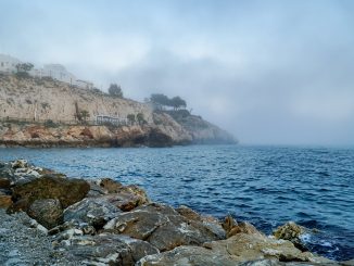 Fenómemo del taró causa alerta en el baño de las playas de Málaga
