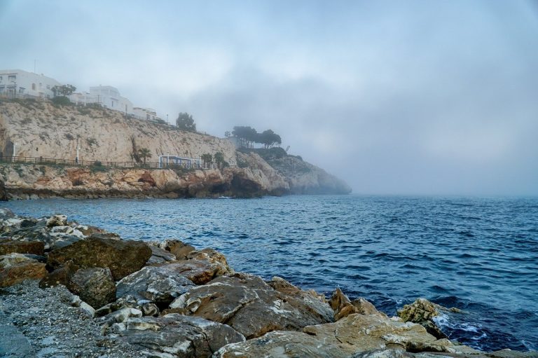 Fenómemo del taró causa alerta en el baño de las playas de Málaga