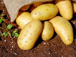 beneficios de las patatas