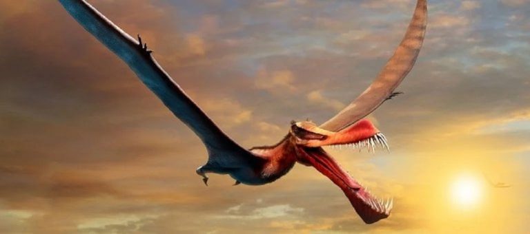 Australia dinosaurio volador