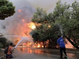 incendio grecia 1