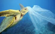 plastico oceanos