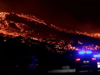 animales-peligro-volcan