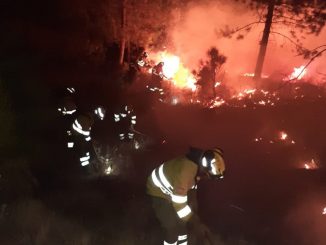 incendio sierra bermeja 1