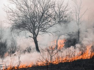 Qué son los incendios de sexta generación