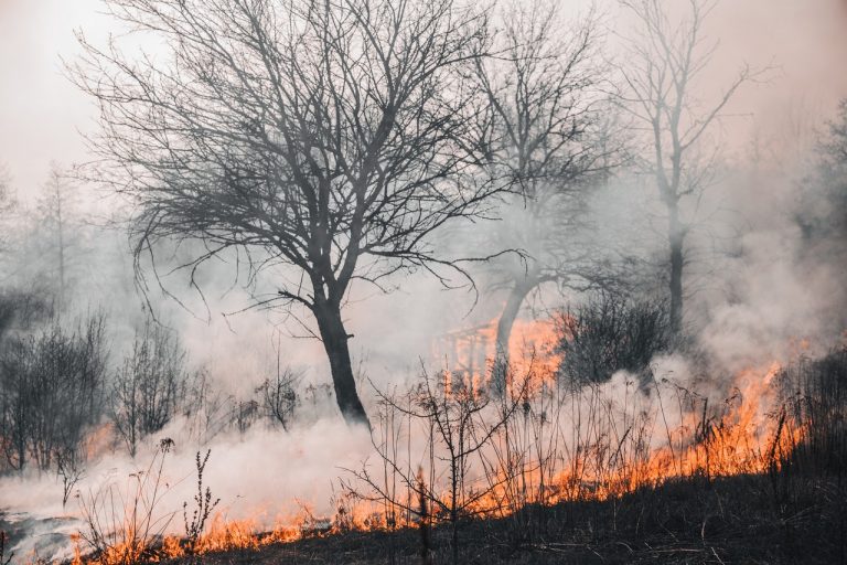 incendios de sexta generación