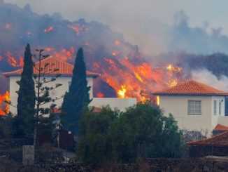 la palma casas