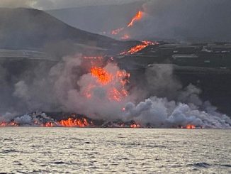 lava la palma peces 1